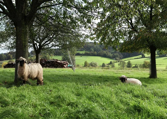 In With Garden & Bbq * Epen