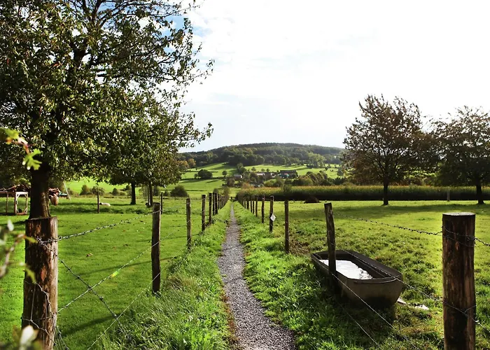 In With Garden & Bbq