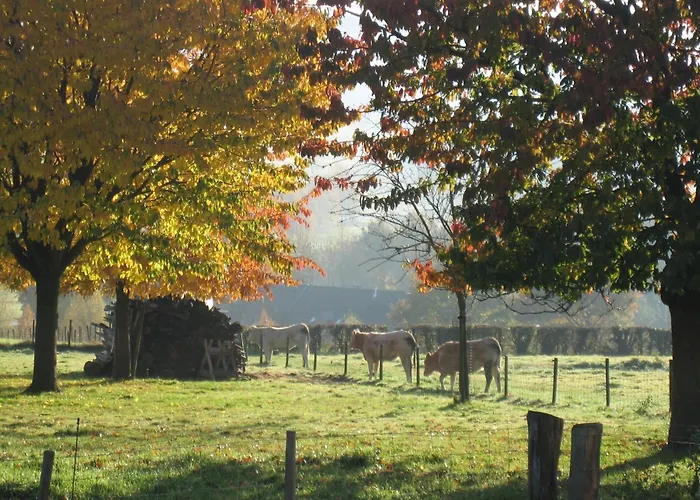 In With Garden & Bbq Feriehus Epen