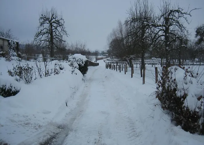 In With Garden & Bbq