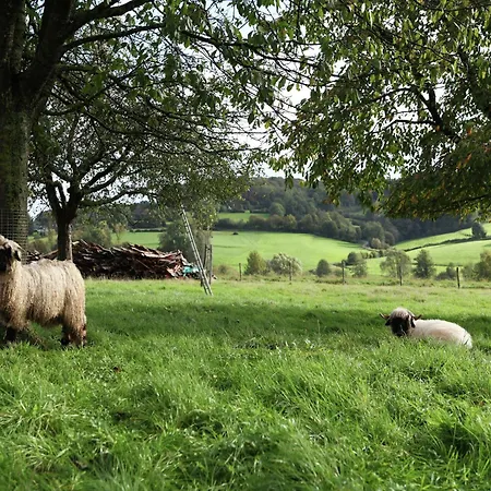 In With Garden & Bbq * Epen