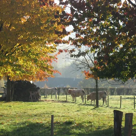 In With Garden & Bbq Dom wakacyjny Epen