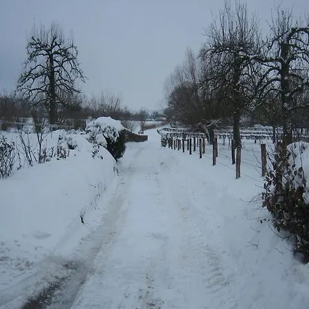 In With Garden & Bbq